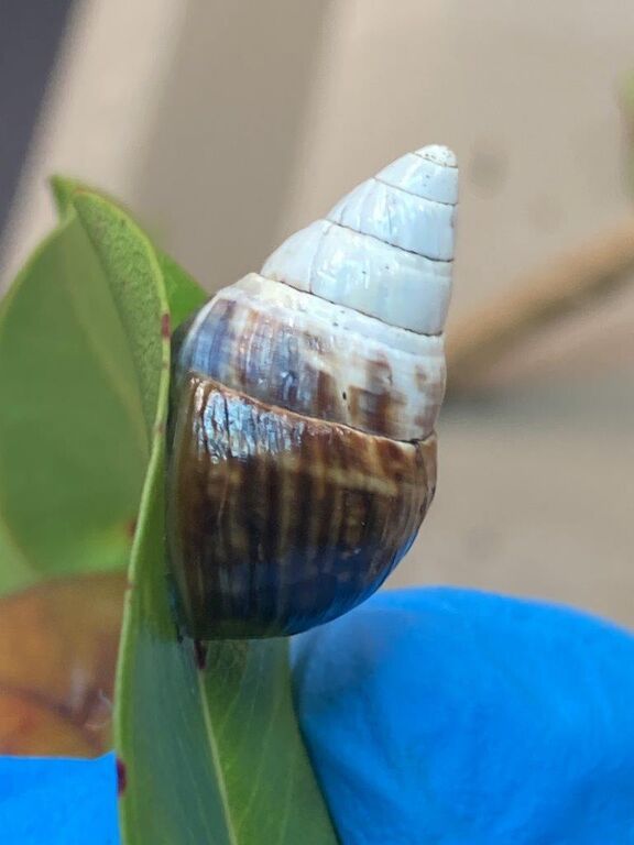 99fca6a4-33e8-4359-89ca-0247e8858b1e