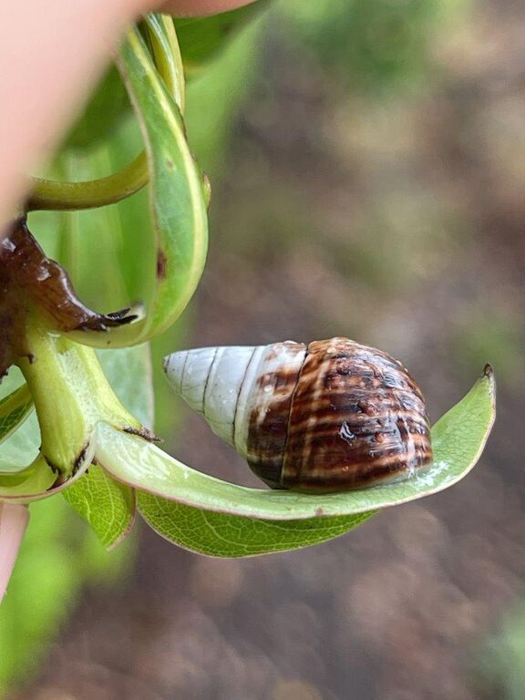 99fca6a4-33e8-4359-89ca-0247e8858b1e