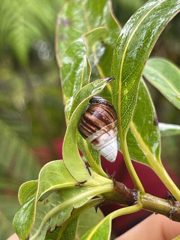 99fca6a4-33e8-4359-89ca-0247e8858b1e