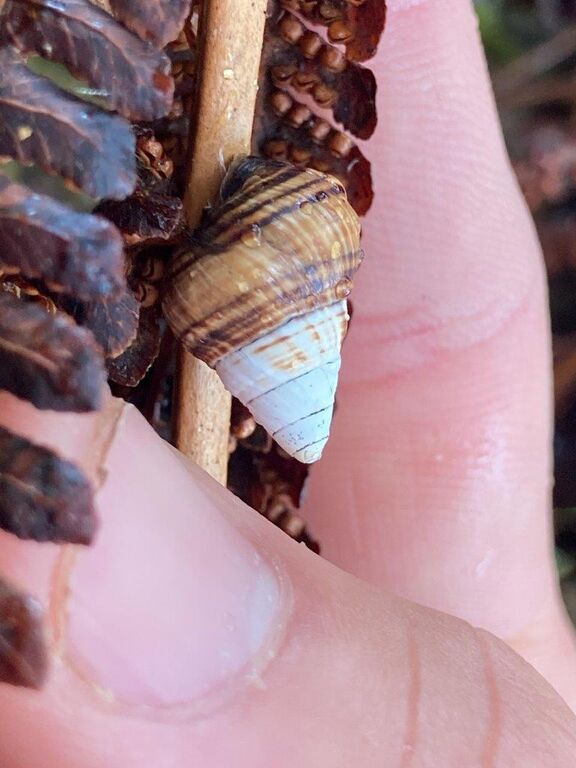 41d0961c-5e4a-4b01-aead-9ac3945bf1c0