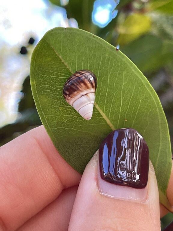 f1a6ec53-6d26-4747-972b-1ae5a1487478