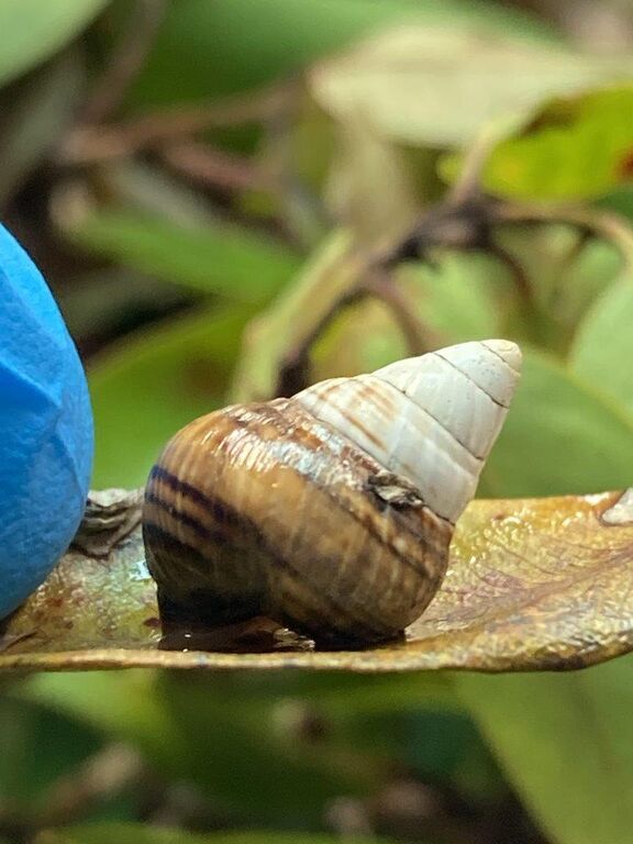 41d0961c-5e4a-4b01-aead-9ac3945bf1c0