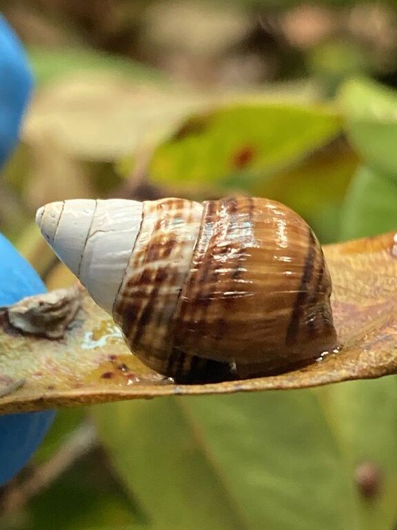 41d0961c-5e4a-4b01-aead-9ac3945bf1c0