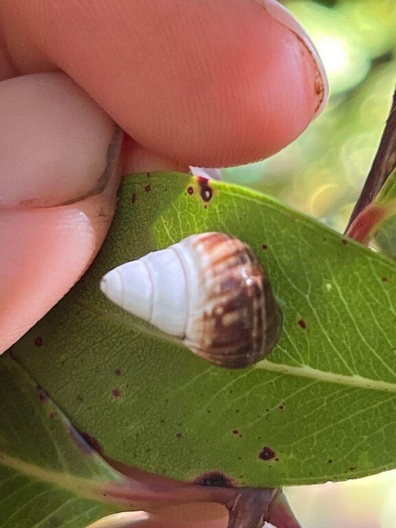 f1a6ec53-6d26-4747-972b-1ae5a1487478