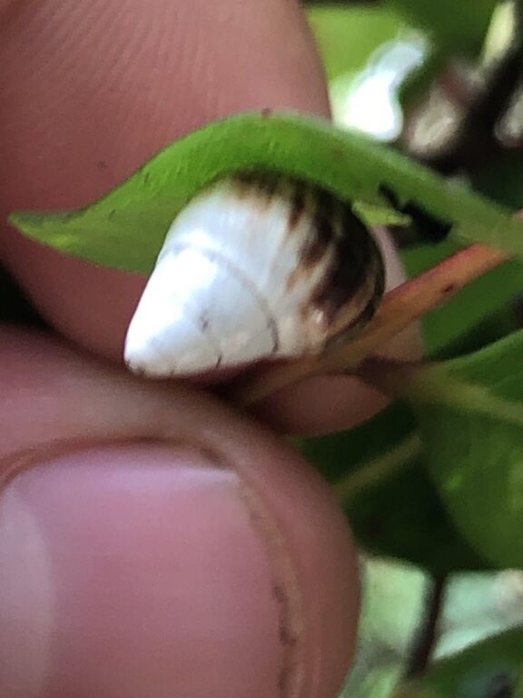 f1a6ec53-6d26-4747-972b-1ae5a1487478