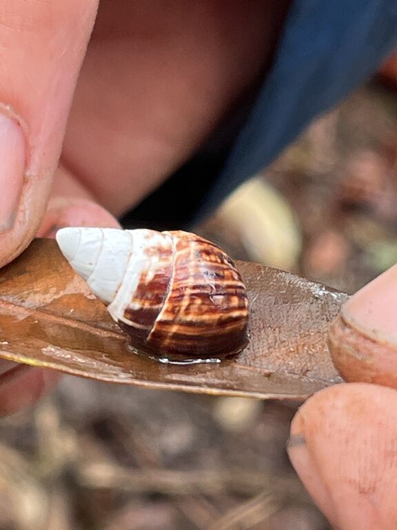 99fca6a4-33e8-4359-89ca-0247e8858b1e