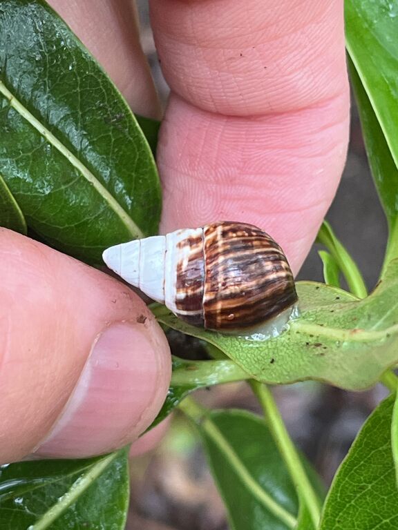 99fca6a4-33e8-4359-89ca-0247e8858b1e