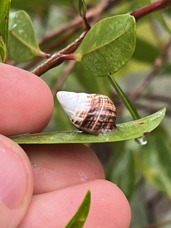 d586f358-8f4a-4118-a41c-b4d1d849fcab