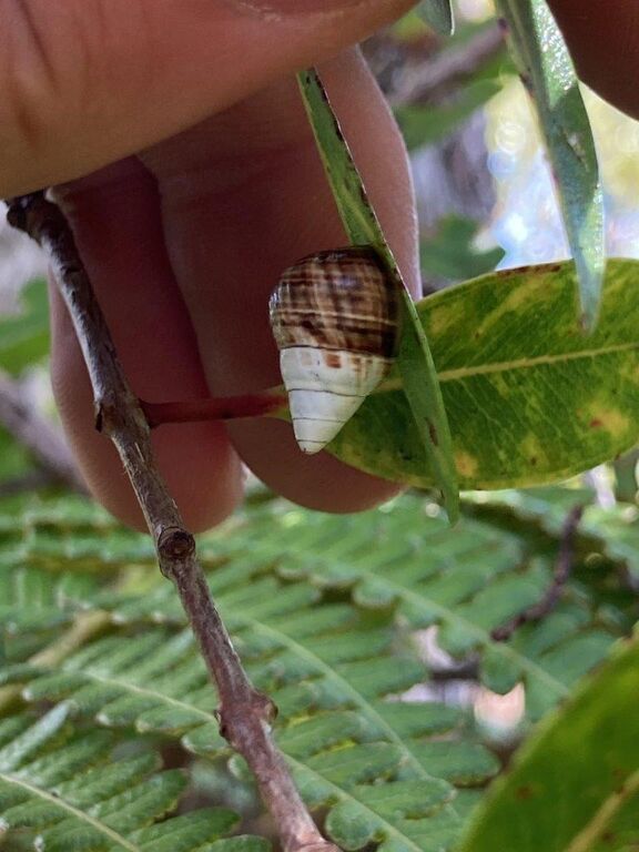 d586f358-8f4a-4118-a41c-b4d1d849fcab