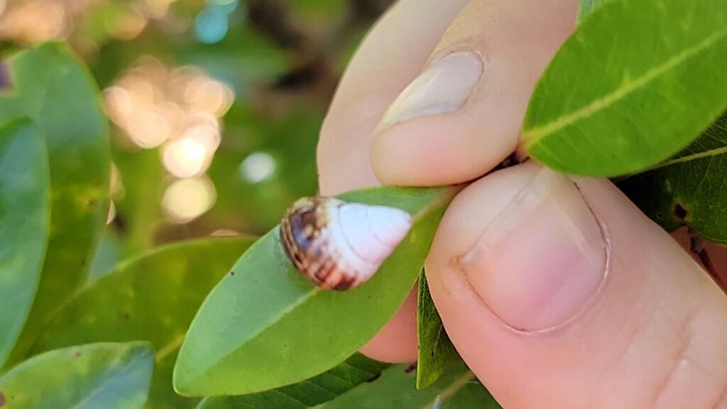 f1a6ec53-6d26-4747-972b-1ae5a1487478