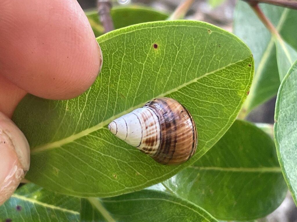 41d0961c-5e4a-4b01-aead-9ac3945bf1c0