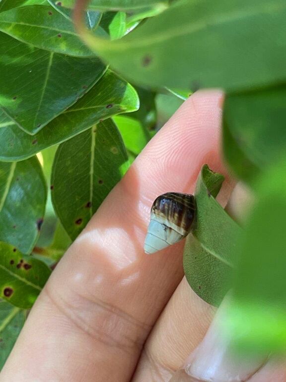 f1a6ec53-6d26-4747-972b-1ae5a1487478