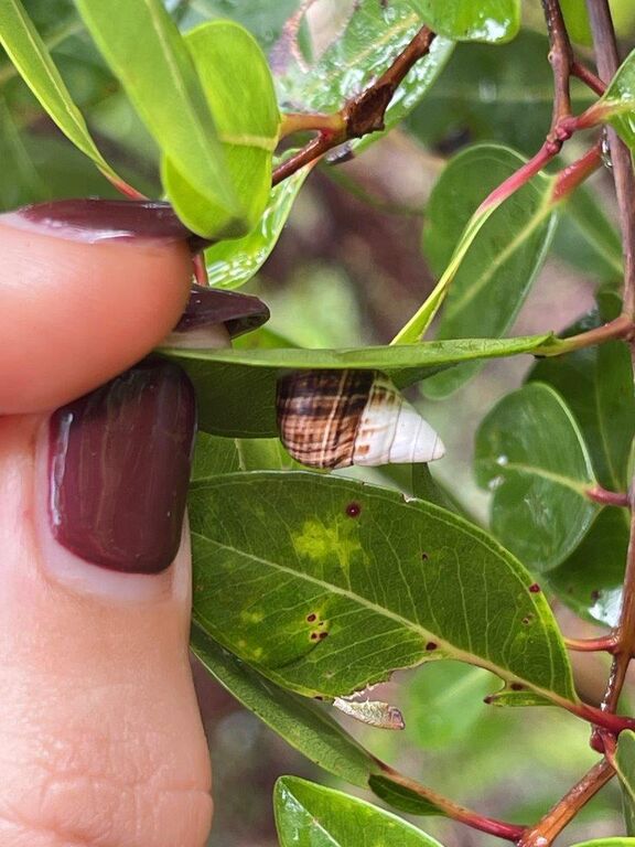 d586f358-8f4a-4118-a41c-b4d1d849fcab