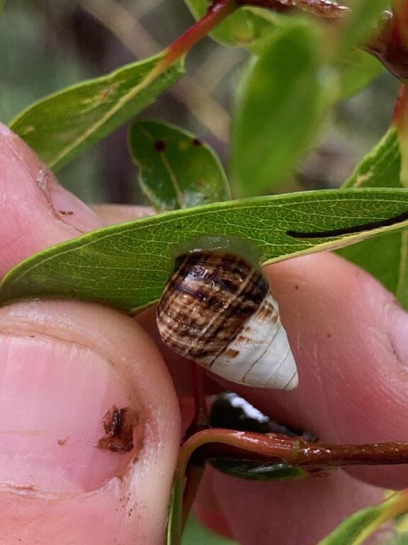 d586f358-8f4a-4118-a41c-b4d1d849fcab